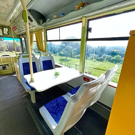 Autobus Palmibus *