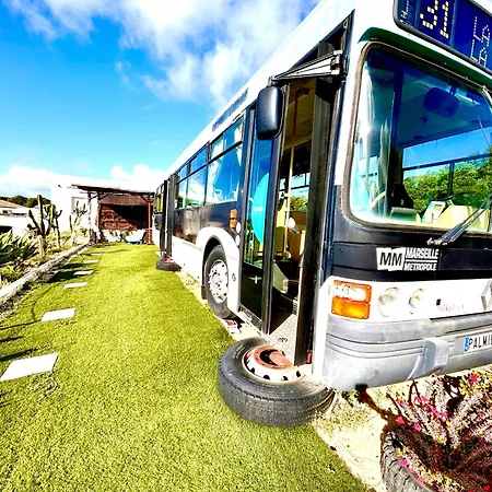 Autobus Palmibus