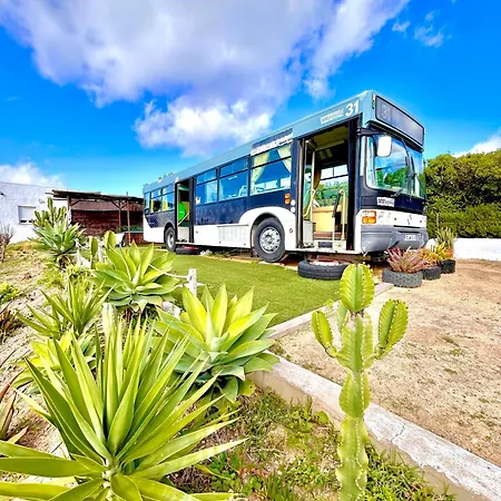 Luxussátor Autobus Palmibus Vejer de la Frontera