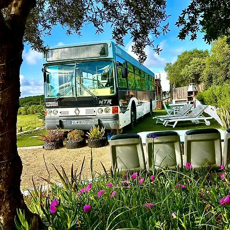 Autobus Palmibus *
